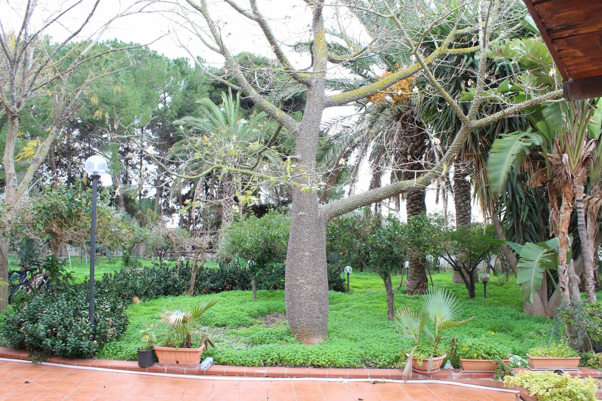 Villa Delle Nifee Mazara del Vallo Luaran gambar